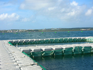 Allevamento di pesci all'estero