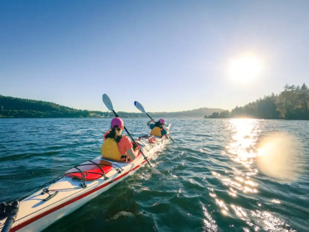 kayak