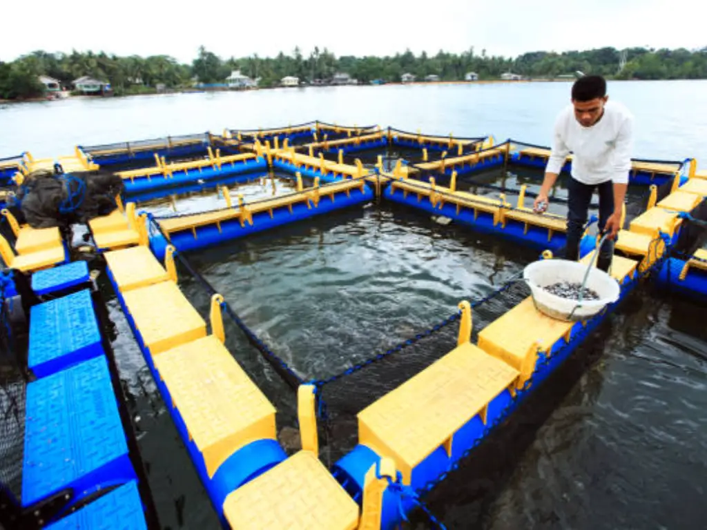 Types of Aquaculture