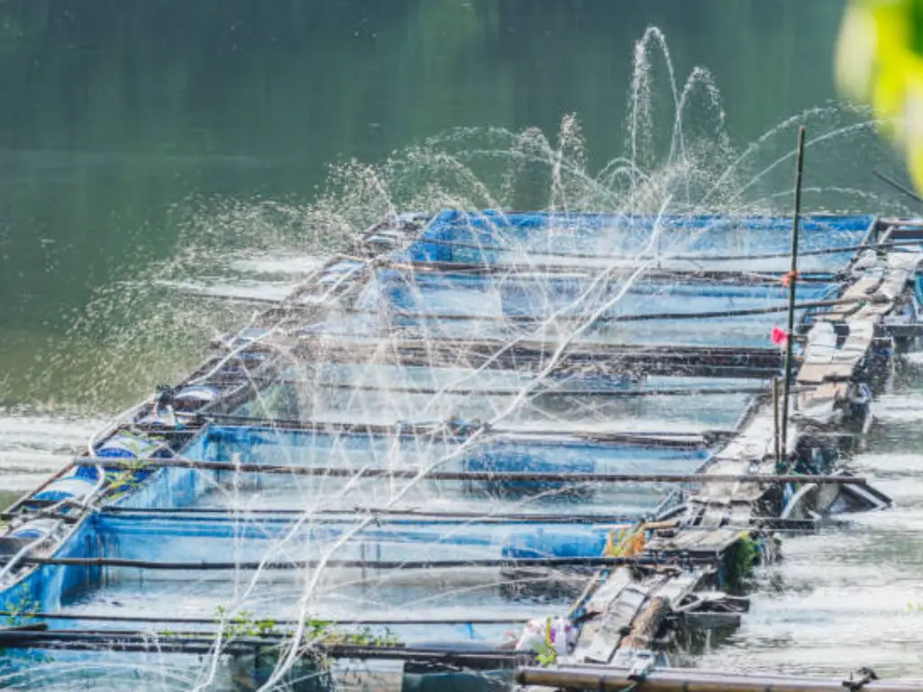 Types of Aquaculture