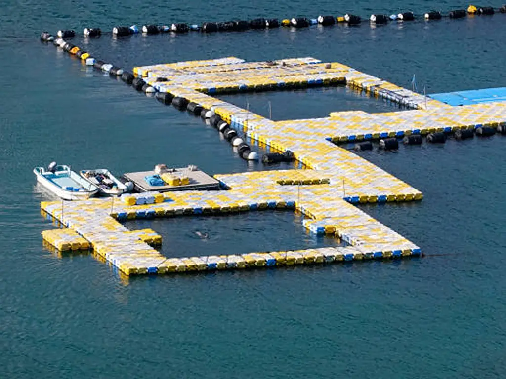 Fish Farming Cost