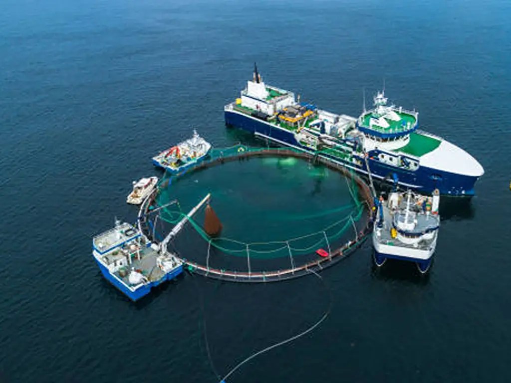 Fish Farming Market