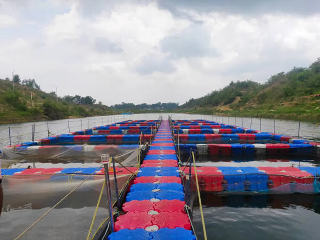 Types of Aquaculture